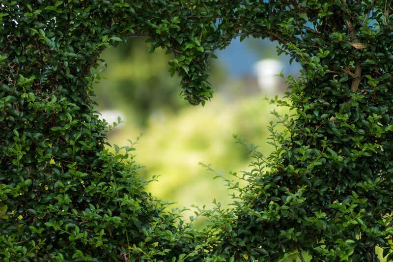 art-background-blur-255441.jpg art-background-blur-255441.jpg